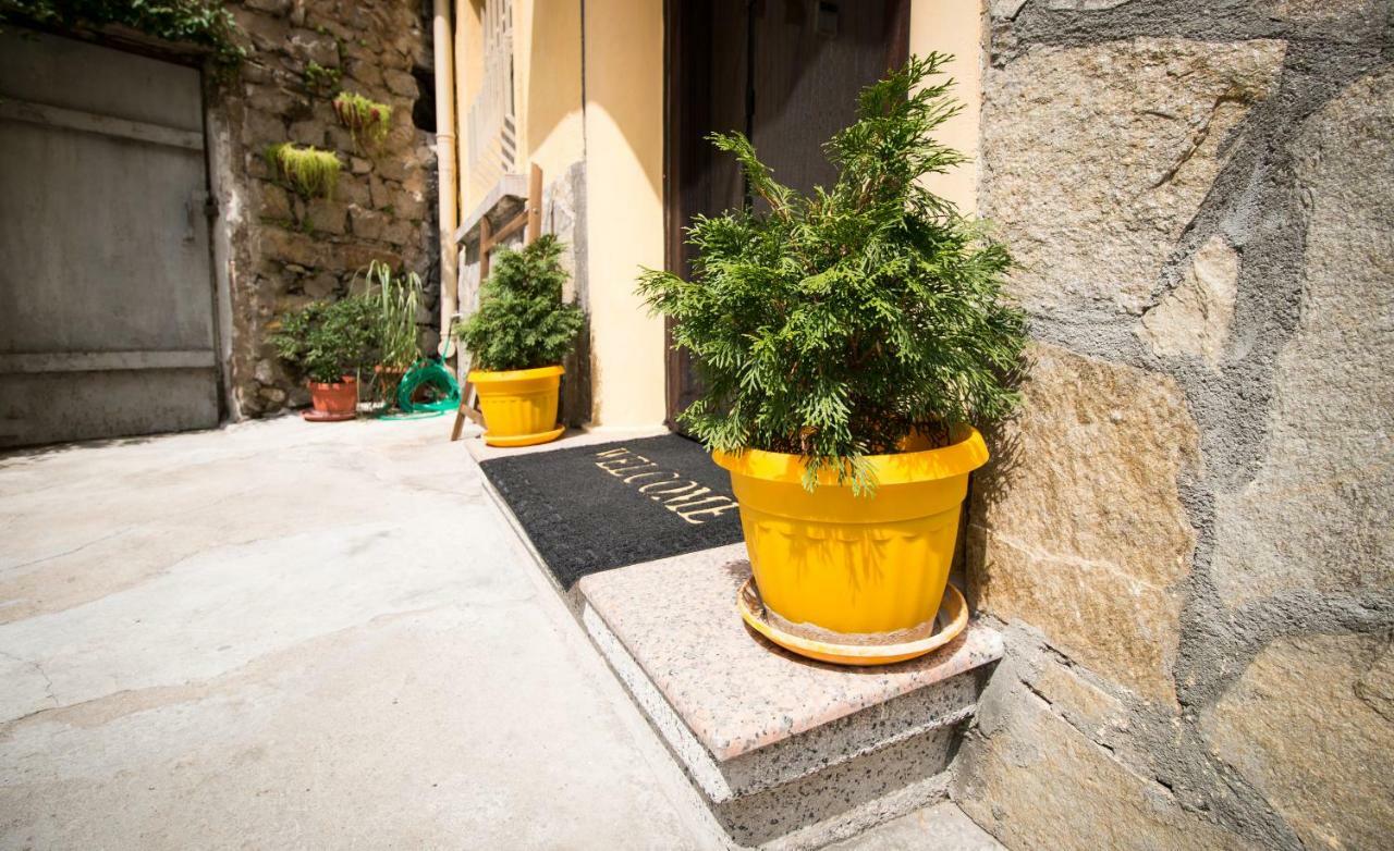 The Rocky House - Central & Private 2Bdr By Flat Mаnager Plovdiv Luaran gambar